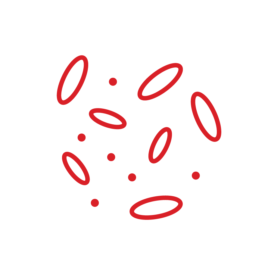 预览可再生LYCRA<sup>®</sup>纤维