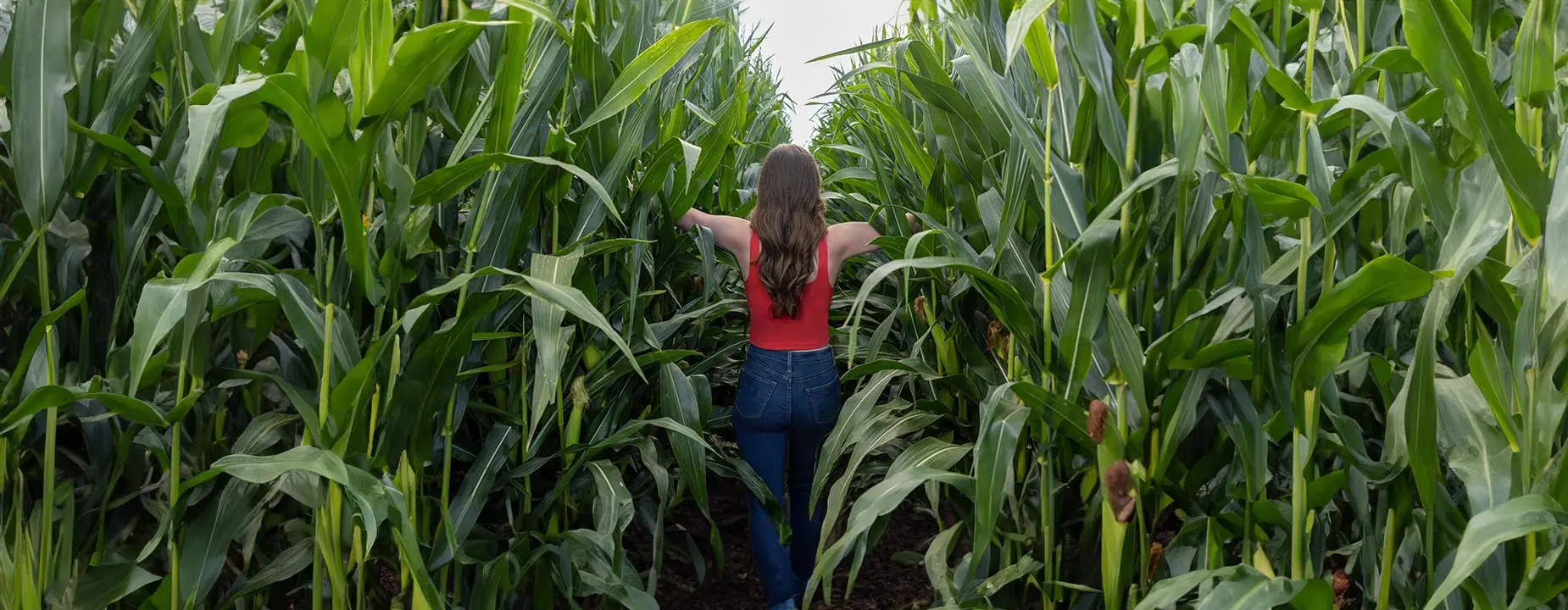 LYCRA® RENEWABLE FIBER